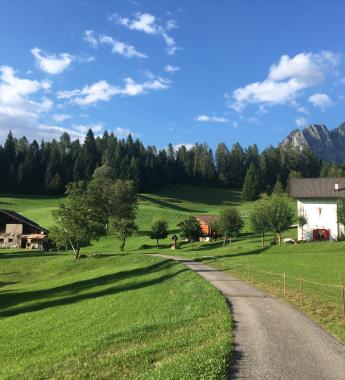 Paesaggio alpino con case, prati verdi e montagne sullo sfondo.
