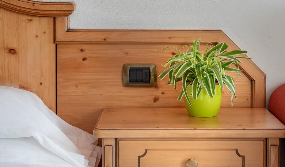 Comodino in legno con pianta e lampada da parete.